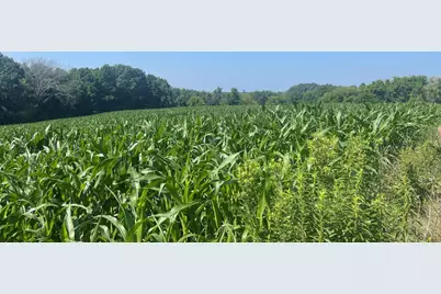 Xxx 590th, Bay City, WI 54723 - Photo 6