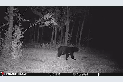 2155 E Kingsdale Road, Danbury, WI 54830 - Photo 12