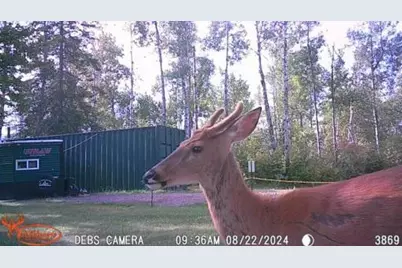 2155 E Kingsdale Road, Danbury, WI 54830 - Photo 10