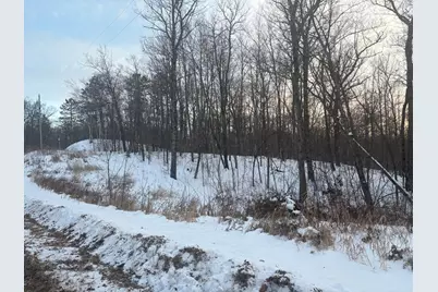 5Xxx Banyan Drive, Garrison, MN 56450 - Photo 4