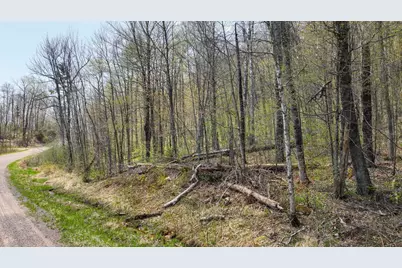 3.91 Acres Gueldner Lane N, Exeland, WI 54835 - Photo 10
