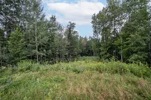 45Xx - Lot B2 Norway Pines Pl, Hermantown, MN 55811 - Photo 8
