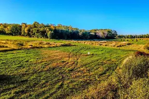 3075 Nelson Rd, Independence, MN 55328 - Photo 26