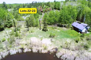 80046 Alder Ln, Tower, MN 55790 - Photo 1