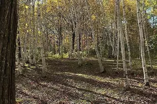 66605 Norway Spruce Rd, Pine Lake Twp, MN 55735 - Photo 30