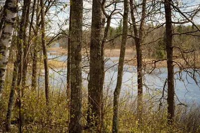 Tract A Brietbach Road, Park Rapids, MN 56470 - Photo 2