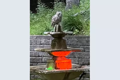 1000 Heritage Lane, Orono, MN 55391 - Photo 28