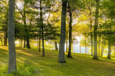 14788 Coyote Drive, Park Rapids, MN 56470 - Photo 52