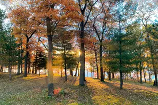 14788 Coyote Dr, Park Rapids, MN 56470 - Photo 50