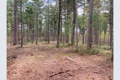 Lot 2 Surely Drive, Siren Township, WI 54872 - Photo 16