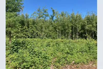 Lot 3 Surely Drive, Siren Township, WI 54872 - Photo 24