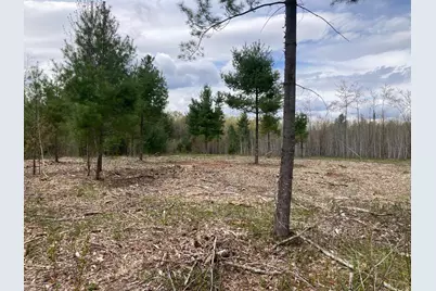 Lot 3 Surely Drive, Siren Township, WI 54872 - Photo 14