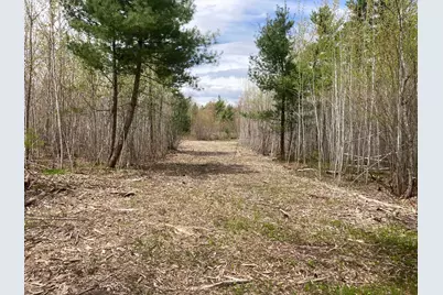 Lot 4 Surely Drive, Siren Township, WI 54872 - Photo 12