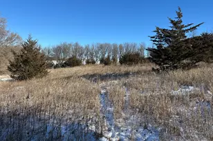 56060 375th Ave, Zumbro Township, MN 55906 - Photo 28