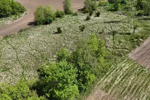 56060 375th Ave, Zumbro Township, MN 55906 - Photo 8