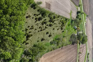 56060 375th Ave, Zumbro Township, MN 55906 - Photo 22