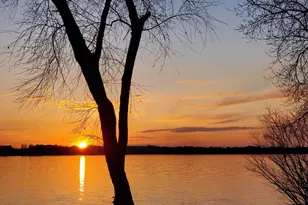 2945 County Road 4 SW, Cokato, MN 55321 - Photo 20