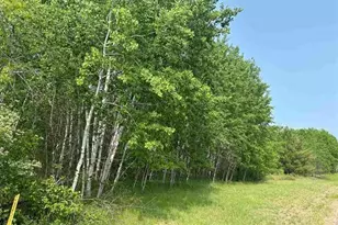 Lot 3 North Shore Dr, Iron River, WI 54847 - Photo 1