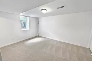 3802 Togo Rd, Spring Park, MN 55384 - Photo 22