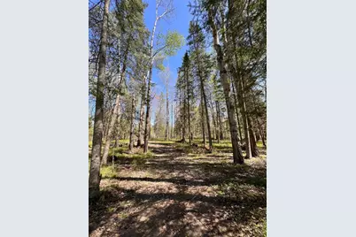 Tbd Necktie Loop, Lake George Township, MN 56458 - Photo 1