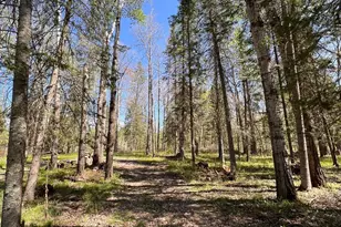 Tbd Necktie Loop, Lake George Township, MN 56458 - Photo 1
