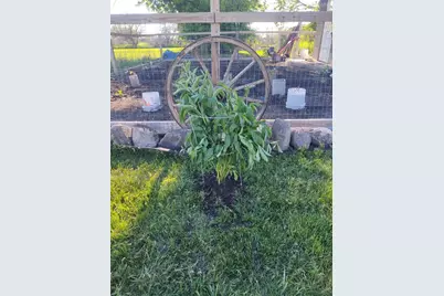 2675 380th Street, Boyd, MN 56218 - Photo 92