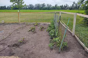 2675 380th St, Boyd, MN 56218 - Photo 88