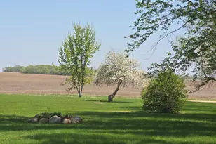 2675 380th St, Boyd, MN 56218 - Photo 106