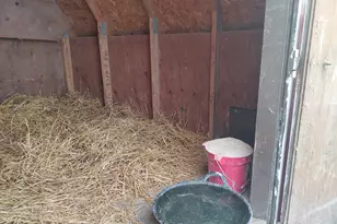 2675 380th St, Boyd, MN 56218 - Photo 84