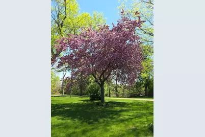 2675 380th Street, Boyd, MN 56218 - Photo 102