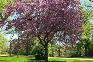 2675 380th St, Boyd, MN 56218 - Photo 102