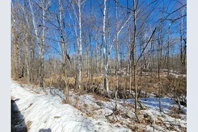 Xxxx Meadow Lake Road SW, Motley, MN 56466 - Photo 4