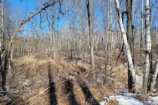 Xxxx Meadow Lake Road SW, Motley, MN 56466 - Photo 1