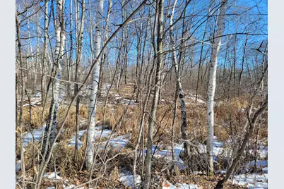 Xxxx Meadow Lake Road SW, Motley, MN 56466 - Photo 8