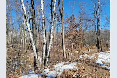 Xxxx Meadow Lake Road SW, Motley, MN 56466 - Photo 2