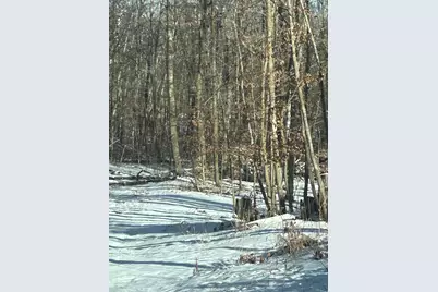 Xxx Birchcurve Road, Cushing Township, MN 56475 - Photo 1