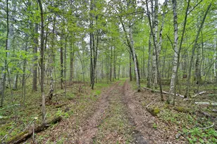 Tbd Wildlife Trail, Pequot Lakes, MN 56472 - Photo 40