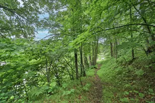 Tbd Wildlife Trail, Pequot Lakes, MN 56472 - Photo 52