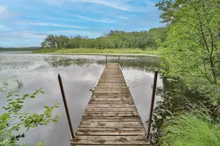 Tbd Wildlife Trail, Pequot Lakes, MN 56472 - Photo 36