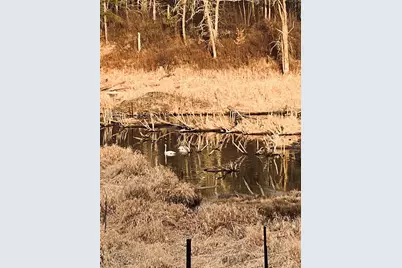 Xxx County Road 134, Pine River, MN 56474 - Photo 16