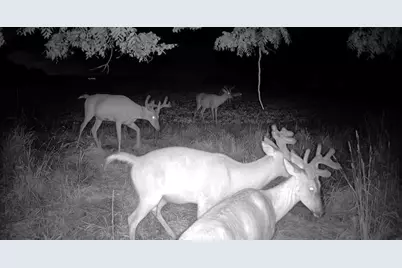 0 County Road Jj, Stockholm, WI 54769 - Photo 1