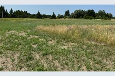 Tbd Buchanan Avenue SW, Bemidji, MN 56601 - Photo 1