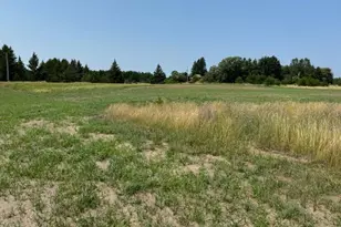 Tbd Buchanan Ave SW, Bemidji, MN 56601 - Photo 1