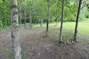 28247 Water St Trl, Underwood, MN 56586 - Photo 1