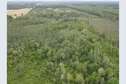 W39Xx Frog Creek Road, Minong, WI 54859 - Photo 6
