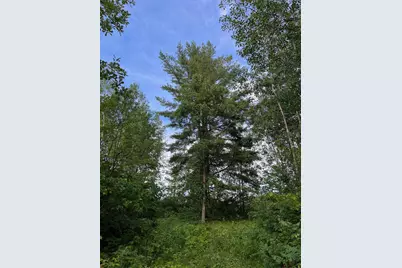 W39Xx Frog Creek Road, Minong, WI 54859 - Photo 2