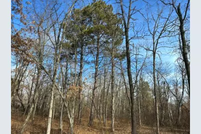 Tbd Wildwood Ave, Nevis, MN 56467 - Photo 4