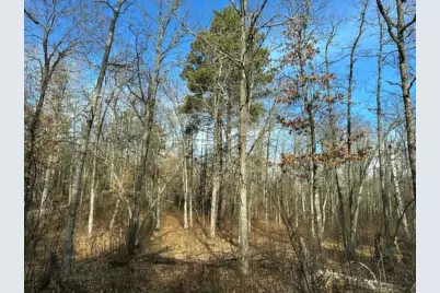 Tbd Wildwood Ave, Nevis, MN 56467 - Photo 6