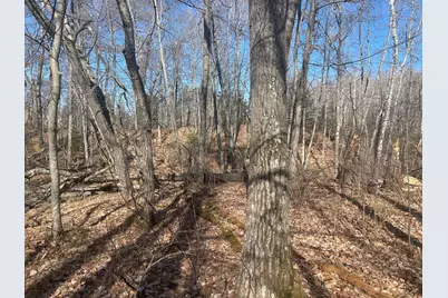 Lots 129-131 Ski Chalet Drive, Breezy Point, MN 56472 - Photo 8
