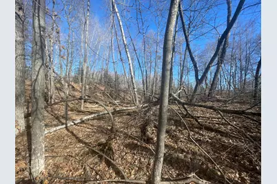 Lots 129-131 Ski Chalet Drive, Breezy Point, MN 56472 - Photo 6